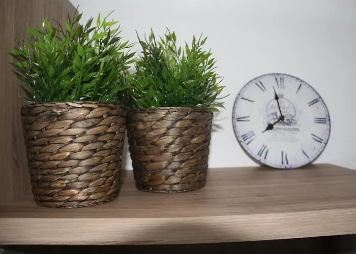 Amatista * 卡尔佩